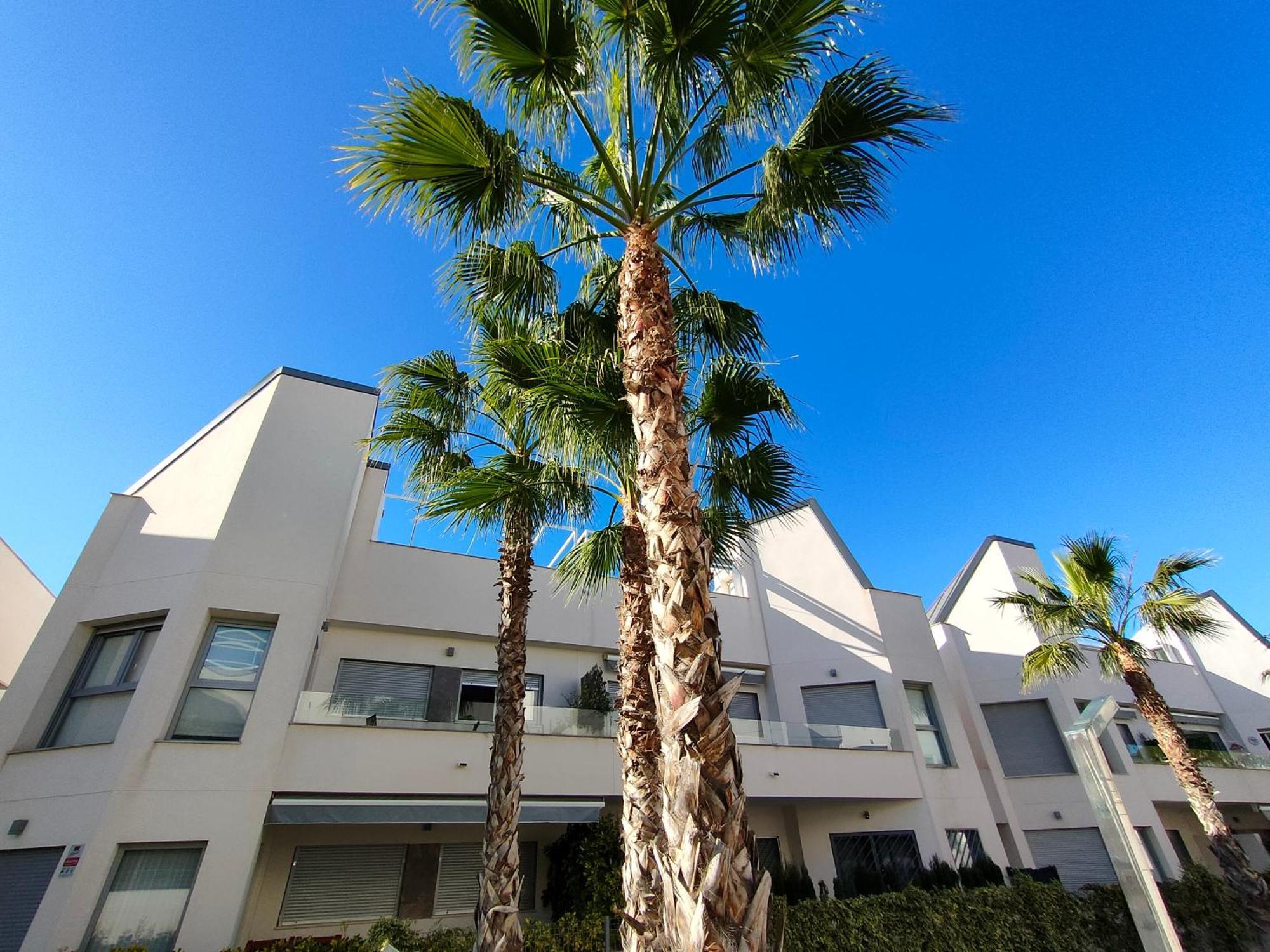 Villa Amalia Eco Torrevieja Ruang foto